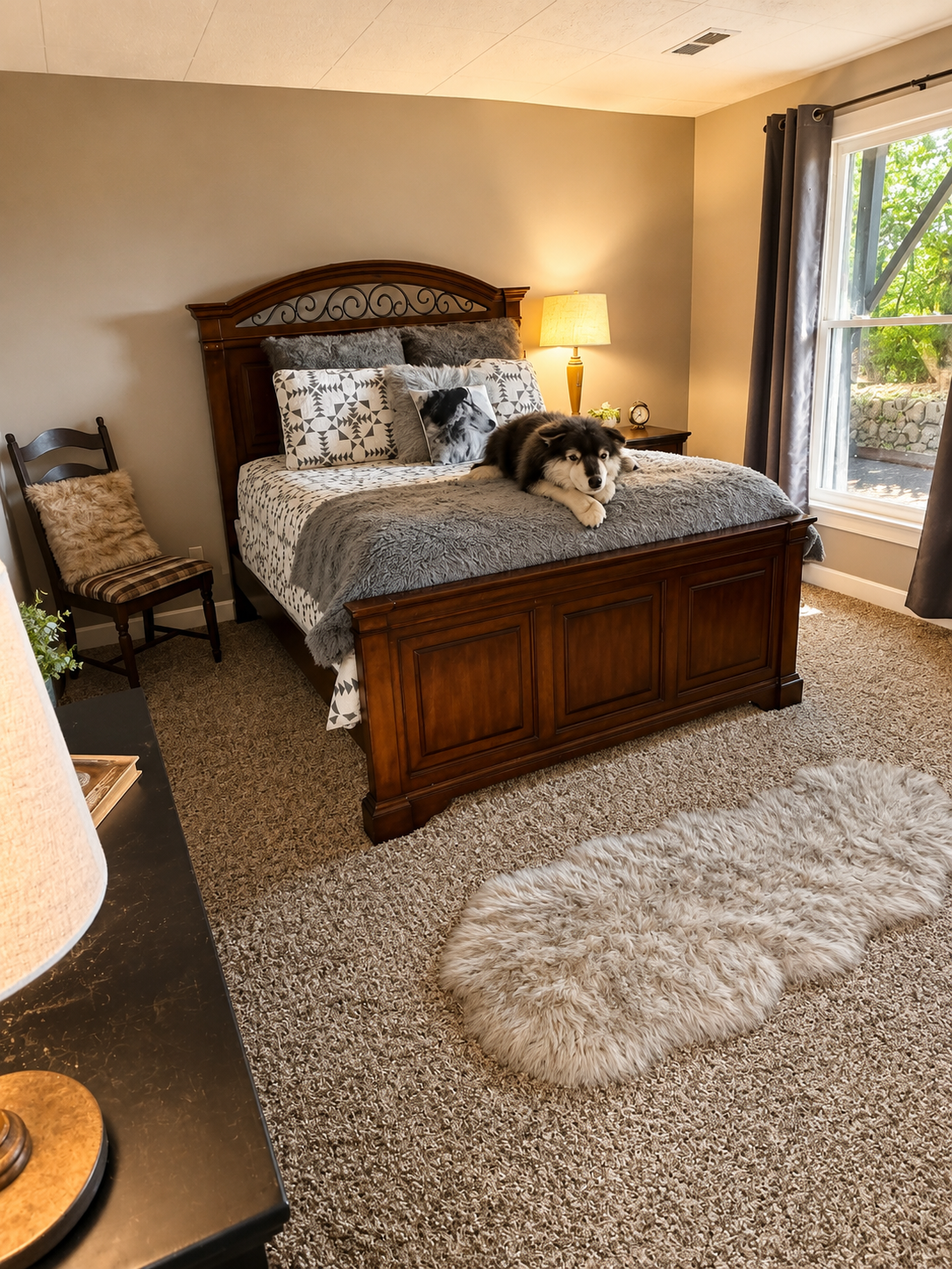 Guest bedroom with a dog resting on the bed